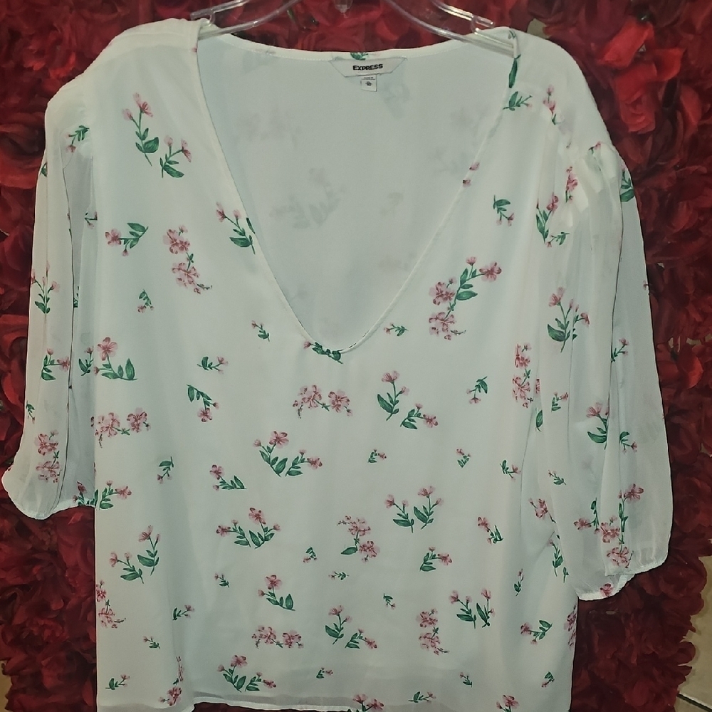 Express Floral V-Neck Lined Blouse - White with Pink and Green Size Xlarge